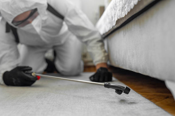 Professional Bed Bug Control technician working in Goldstream, AK