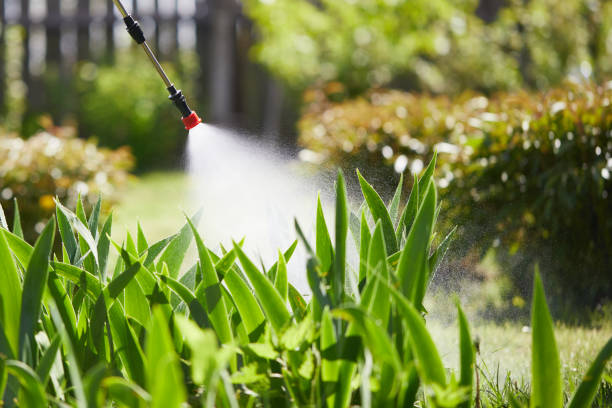 24/7 Emergency Bed Bug Control experts in Goldstream, AK