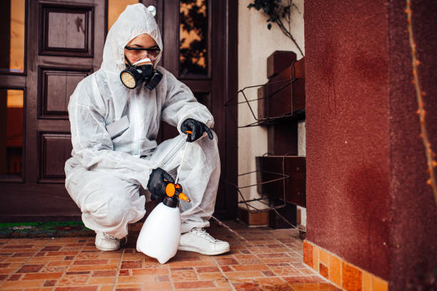 Reliable Bed Bug Control contractor in Goldstream, AK by Nex Pest Control