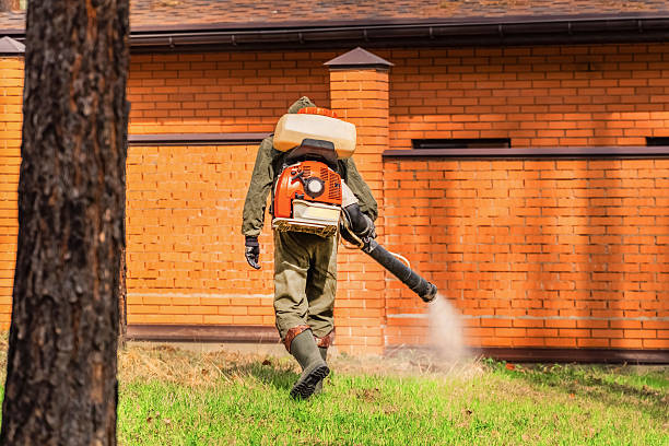 Top rated local Bed Bug Control specialists in Goldstream, AK